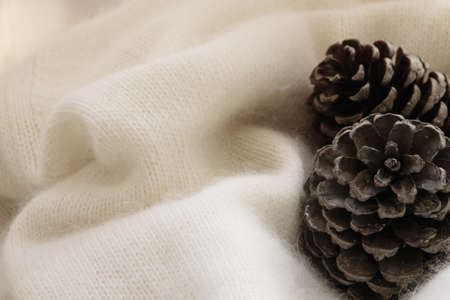 Two pine cones on a cozy wool blanketの写真素材