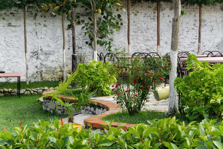 Fresh green garden designの写真素材