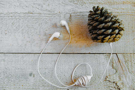 Eccentric way to listen music. Concepts - connection into the nature, different perspective to use the technology, imagination, bizarre accessoryの写真素材