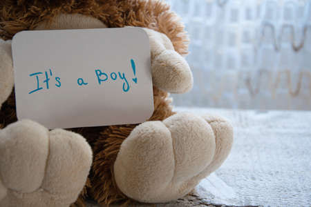 Teddy bear holds an announcement card for baby boy, space for text. New arrival in the family