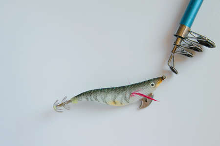 Isolated colorful plastic fishing bait on fishing pole on white background, space for text