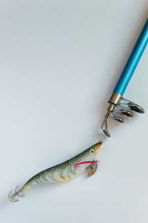 Isolated colorful plastic fishing bait on fishing pole on white background, space for textの写真素材