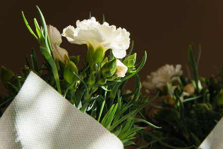 Close up of beautiful white carnation flowersの写真素材