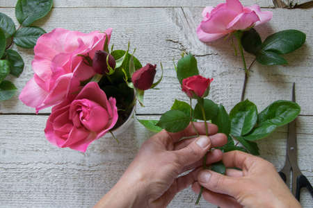 Top view of female decorator arranging roses on the wooden table, Concepts - fiorist, occupation,...