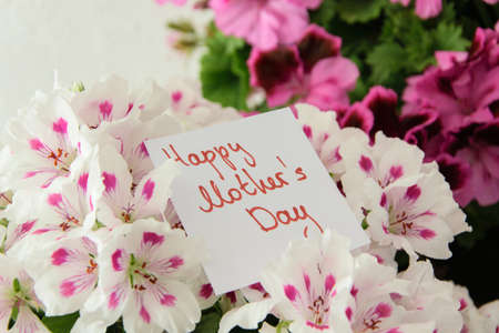Close Up of beautiful fresh flowers with greeting card for Mother's day, gratefulness present...