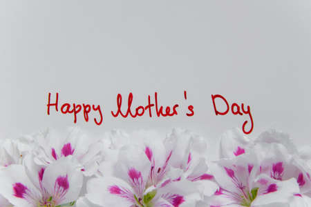 Fresh greeting card for the Mother's day, space for text