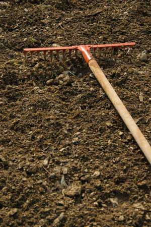 Rake in the soil, gardening/agricultural working tool, space for textの写真素材