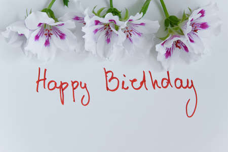 Happy birthday greeting card with fresh flowers on white background, space for textの写真素材