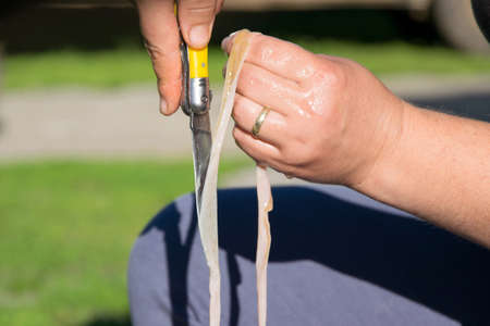 Authentic farm cooking - close up view of woman hands cleans offal -  intestine of a goat or lamb...