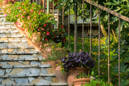 Blooming potted flowers on a stone staircase