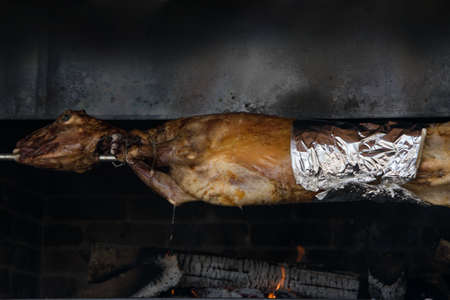 Traditional way of cooking a whole animal (lamb, goat) - roasting an over low heatの写真素材