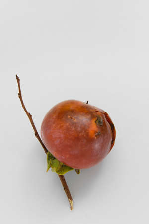 Top view of isolated persimmon fruit on white background, healthy eating concept, space for textの写真素材