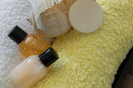 Spa wellness treatment products - body care and hygiene concept