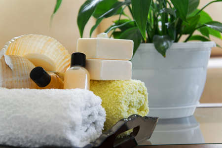 Spa wellness treatment products - body care and hygiene concept