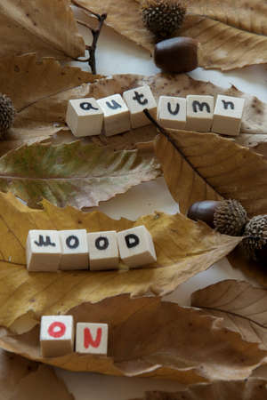"Autumn mood on" text phrase with dry leaves and acornsの写真素材