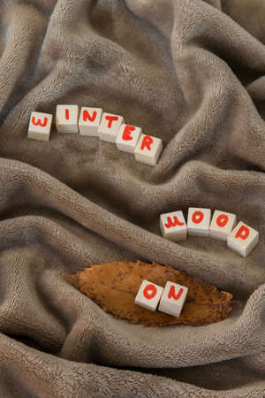 Top view of "Winter mood ON" text phrase on cozy warm blanketの写真素材