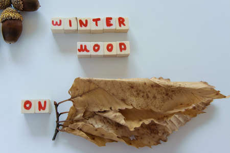 Winter mood ON text phrase, dry leaves and acorns on white background, autumn-winter seasonal...