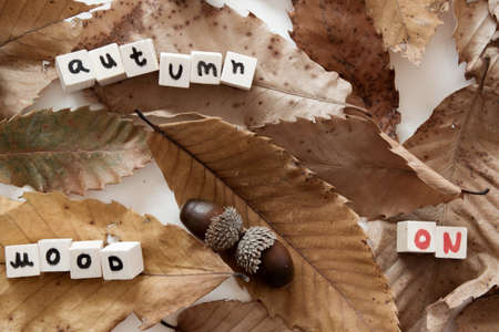 "Autumn mood on" text phrase with dry leaves and acornsの写真素材