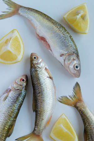 Top view of fresh catch uncooked fish and raw lemons on white background, healthy eating concept,...