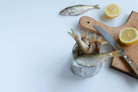 Top view of fresh catch uncooked fish, cutboard and raw lemons on white background, healthy eating concept, space for textの写真素材