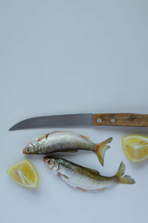 Top view of fresh catch uncooked fish and raw lemons on white background, healthy eating concept,...