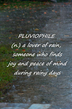 Rainy weather background with text  - PLUVIOPHILE - a lover of rain, someone who finds joy and peace...