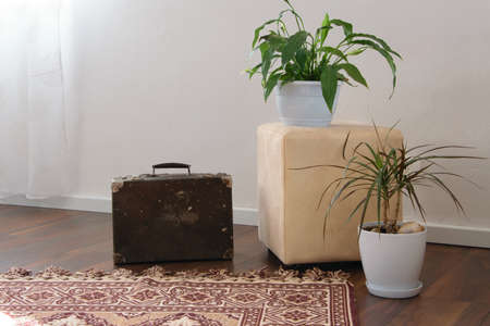 Stylish brightly part of living room with old vintage suitcase and  potted plants, traditional handmade carpet on luxury wooden floor, white wall with bright windows. Interior design decorationの写真素材