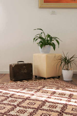 Stylish brightly part of living room with old vintage suitcase and  potted plants, traditional handmade carpet on luxury wooden floor, white wall with bright windows. Interior design decorationの写真素材