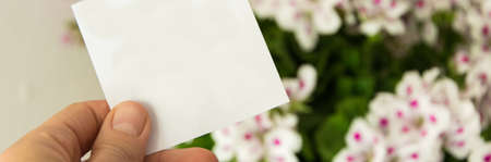 Front view of womans hand holding white (greeting) card, Beautiful fresh flowers in background