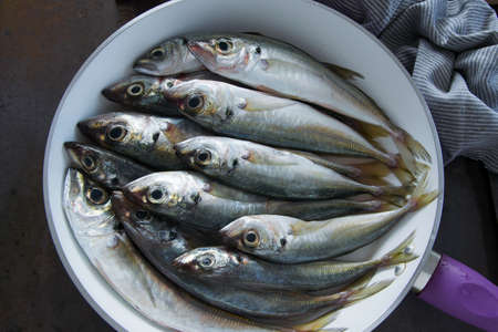 The Mediterranean horse mackerels in the pan (Black Sea horse mackerel,Mediterranean scad, common scad)の写真素材