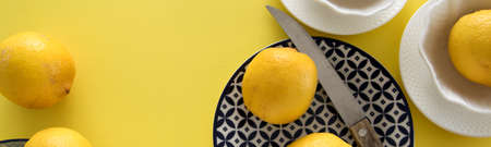 Fresh raw lemons and porcelain  tablewares on fresh yellow background. Still life, background, fresh food designの写真素材