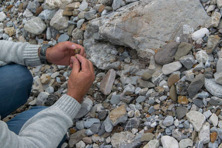 Top down view of man hand researching minerals. Geologic occupation in the wildlife nature