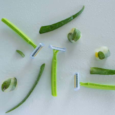 Shaving accessory for sensitive skin. Disposable razor with aloe vera plant on wet white background. Natural body/face care productの写真素材