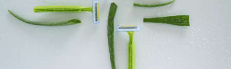 Shaving accessory for sensitive skin. Disposable razor with aloe vera plant on wet white background. Natural body/face care productの写真素材