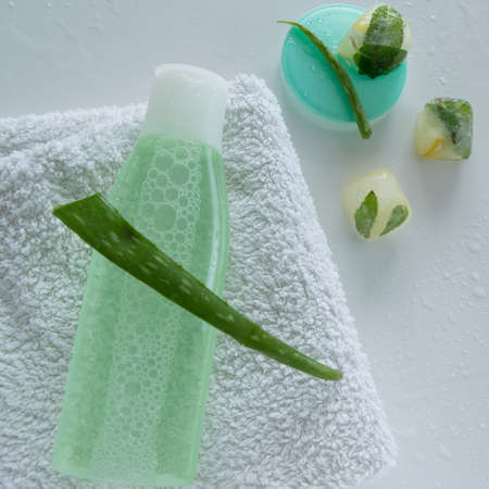Natural body/face care product with aloe vera plant for sensitive skin.の写真素材