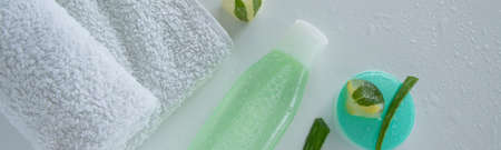 Natural body/face care product with aloe vera plant for sensitive skin.の写真素材