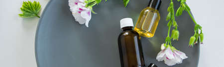 Bottles with geranium essential oil. Herbal cosmetic treatment productsの写真素材