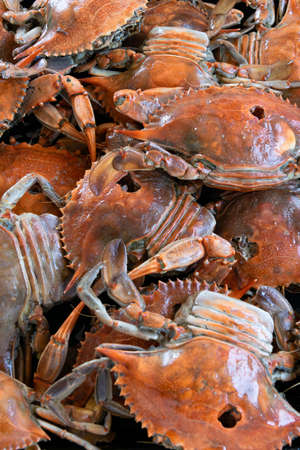 Cooked red crabs, delicious healthy seafoodの写真素材
