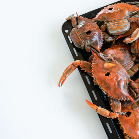 Cooked red crabs, delicious healthy seafoodの写真素材