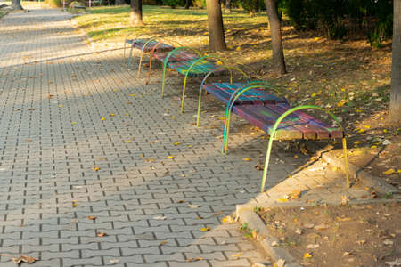 Peaceful autumn walkway in the city parkの写真素材