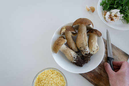 Personal perspective of woman hands preparing porcini mushrooms (Boletus edible) for cooking themの写真素材