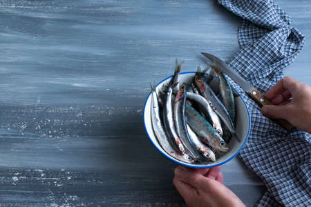 Top view of woman hands preparing fresh anchovies. Healthy raw seafood