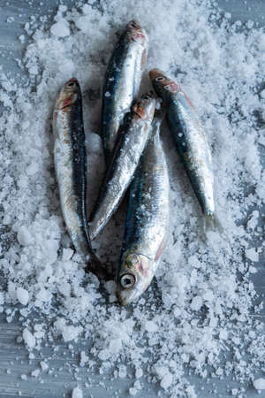 Preparing anchovies in salt. Healthy raw seafoodの写真素材