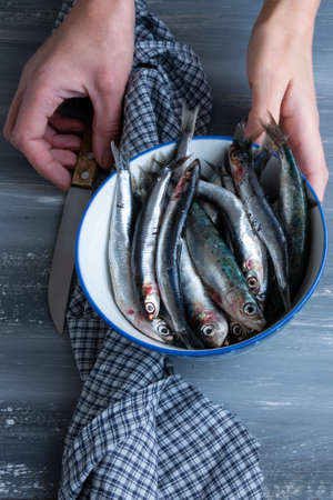 Top view of woman hands preparing fresh anchovies. Healthy raw seafoodの写真素材