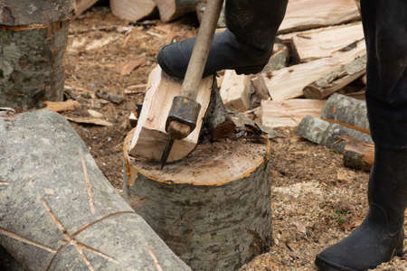 Crop view of the man cutting firewood for the winter. Pile of chopped dry wood