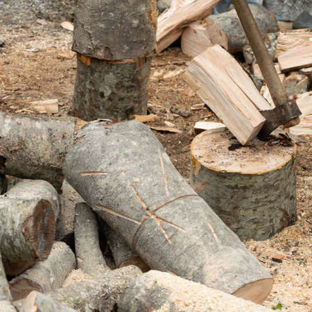 Preparation for firewood for the winter. Dry chopped  wooden woodpile