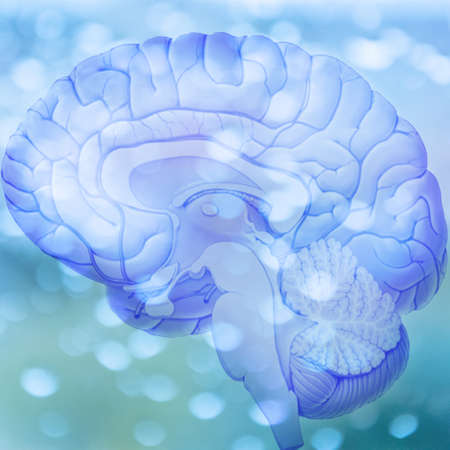 3D rendering. Illustration, graphic brighty brain with light elements, space for textの写真素材