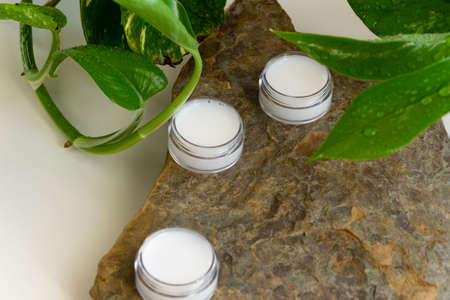 Organic body/face creams, natural wellness beauty productsの写真素材