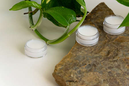 Organic body/face creams, natural wellness beauty productsの写真素材