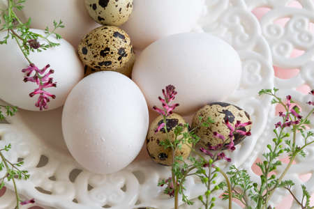 Mix of quail eggs and hen eggs on white vintage plate